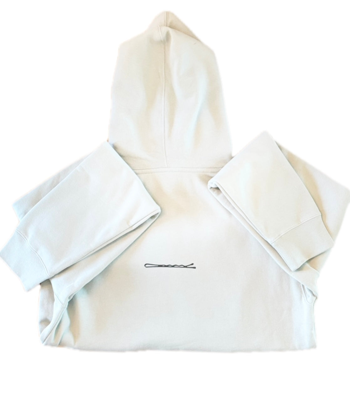 Tease Hoodie- Seafoam Green